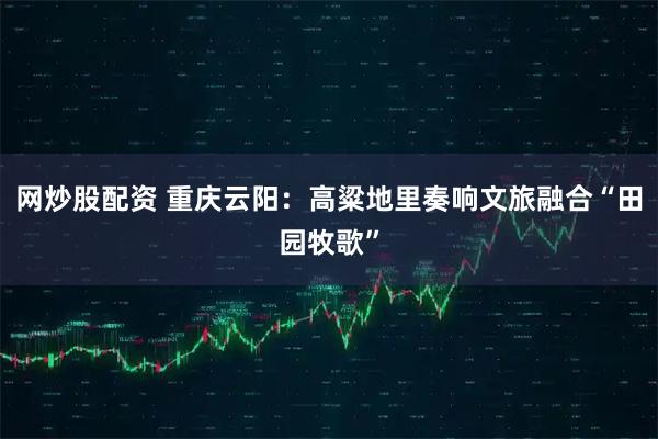网炒股配资 重庆云阳：高粱地里奏响文旅融合“田园牧歌”