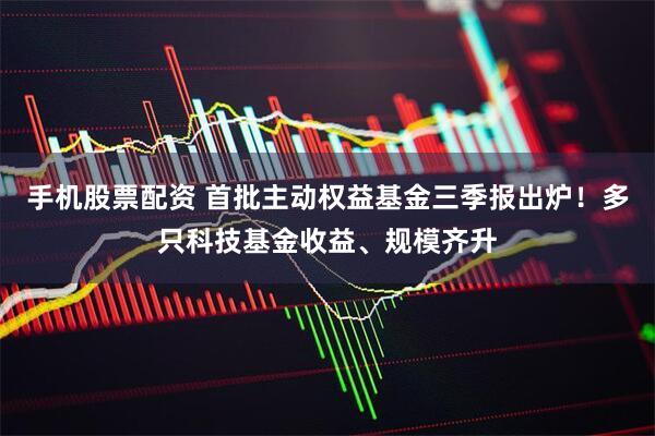 手机股票配资 首批主动权益基金三季报出炉！多只科技基金收益、规模齐升