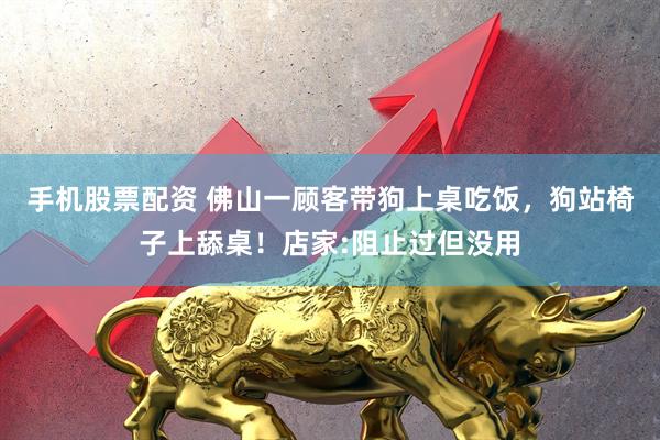 手机股票配资 佛山一顾客带狗上桌吃饭，狗站椅子上舔桌！店家:阻止过但没用