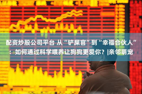 配资炒股公司平台 从“铲屎官”到“幸福合伙人”：如何通过科学喂养让狗狗更爱你？|亲邻萌宠