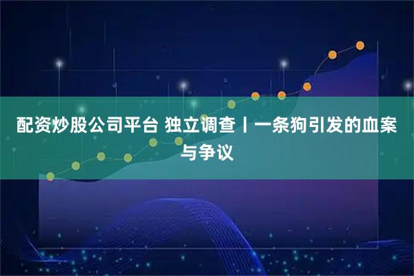 配资炒股公司平台 独立调查丨一条狗引发的血案与争议