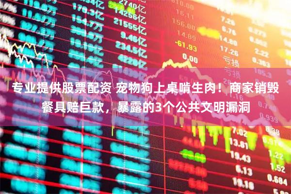 专业提供股票配资 宠物狗上桌啃生肉！商家销毁餐具赔巨款，暴露的3个公共文明漏洞