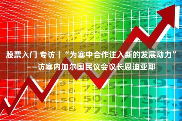 股票入门 专访｜“为塞中合作注入新的发展动力”——访塞内加尔国民议会议长恩迪亚耶