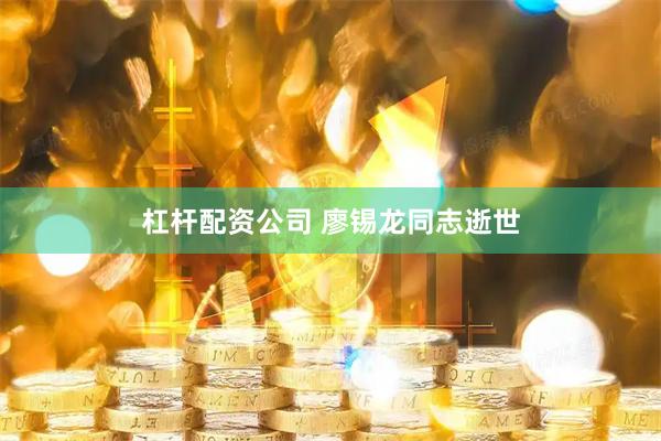 杠杆配资公司 廖锡龙同志逝世
