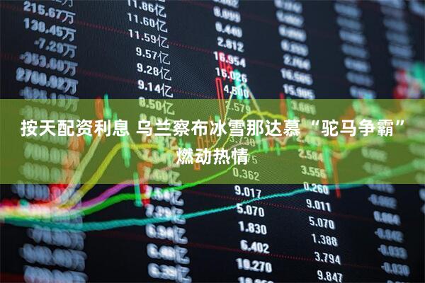 按天配资利息 乌兰察布冰雪那达慕 “驼马争霸”燃动热情