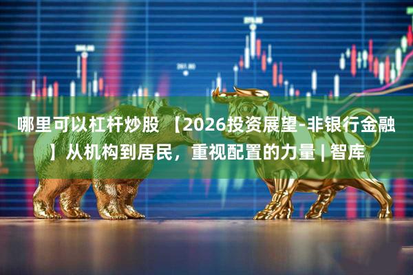 哪里可以杠杆炒股 【2026投资展望-非银行金融】从机构到居民，重视配置的力量 | 智库